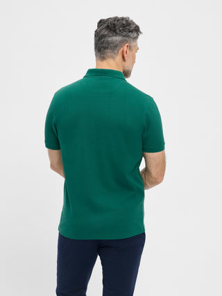 REDGREEN Carlton Polo Green