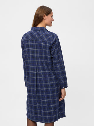 REDGREEN WOMAN Douglas Dress Dresses / Shirts 268 Navy Check